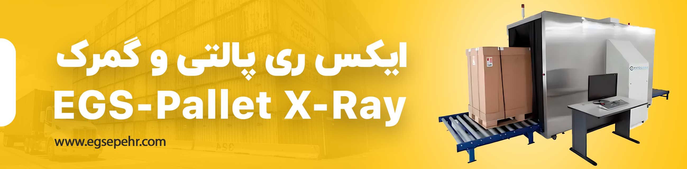 ایکس ری پالتی